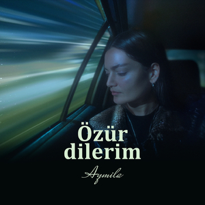 Özür Dilerim