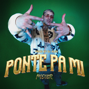 PONTE PA MI