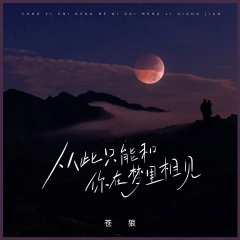 从此只能和你在梦里相见 (DJ版)