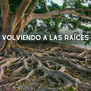 Conectándose a la Vida