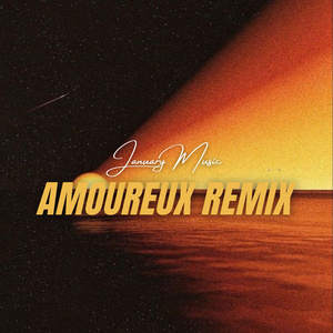 Amoureux (Remix)