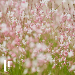 Call of Silence （概念曲）（remix）