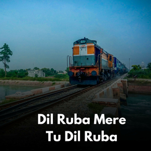 Dil Ruba Mere Tu Dil Ruba