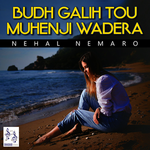 Toukhan Di Dil Phurey Muhenji