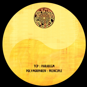 tcp - paradigm