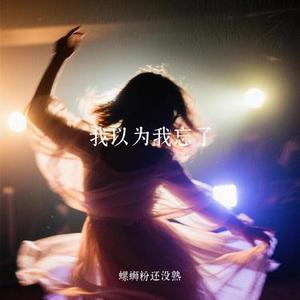我以为我忘了 (Remix)