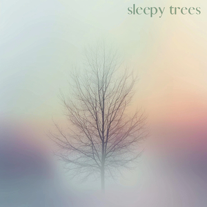Canopy Dream