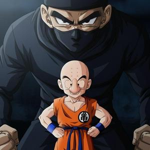 Who Stole Krillin's Nose?