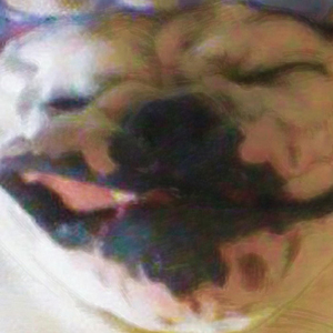 Losing (feat. Phil Keaggy)