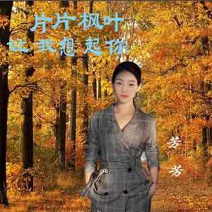 片片枫叶让我想起你 (DJ沈念版)
