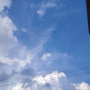 风华正茂