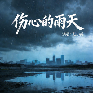 伤心的雨天