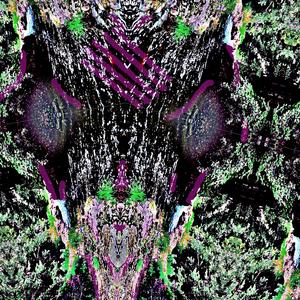 An Superfluous Song For Yogging