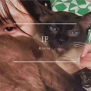 IF(cover:丁可)2019-10-24