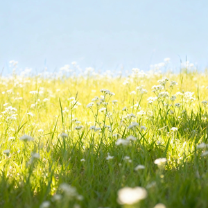 背景音乐-霓虹色日落