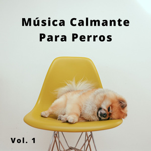 Música De Gatos