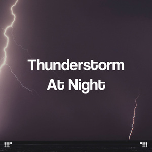 호우 잠