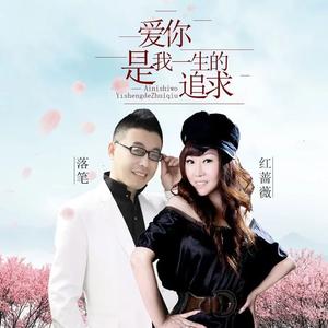 爱你是我一生的追求