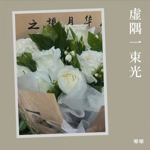 虚隅一束光