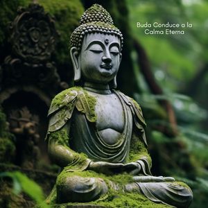 Trascender es Volver al Ser