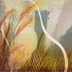 阿拉伯风格绮想曲（翻自 泰雷加）