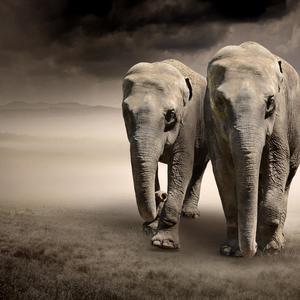 没有人知道（demo）