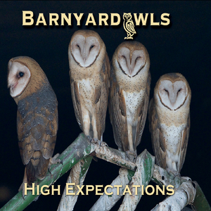 Thats the Way That It Goes