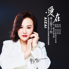 爱在身上留下了伤 (DJ默涵版)