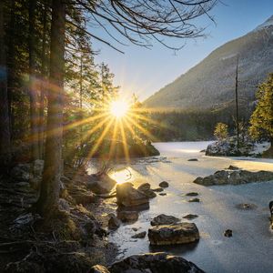 家门口的白杨树-整曲