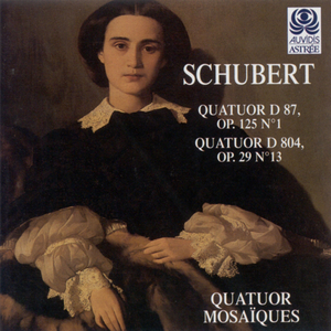 String Quartet No. 13 in A Minor, Op. 29 No. 1, D. 804:II. Andante