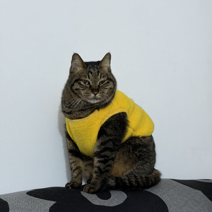 我们不赶时间，慢慢相爱