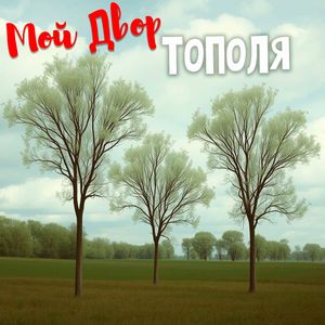 Я решил жениться