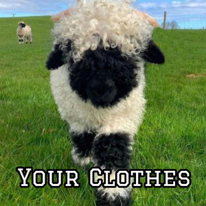 Your Clothes