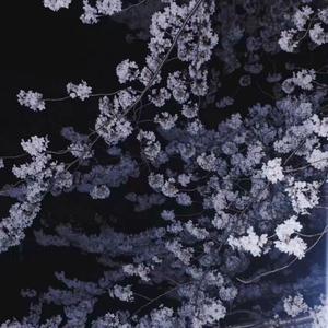 环游星空