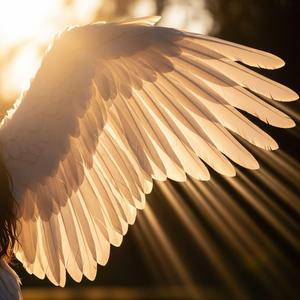 라라라라 하늘 위로