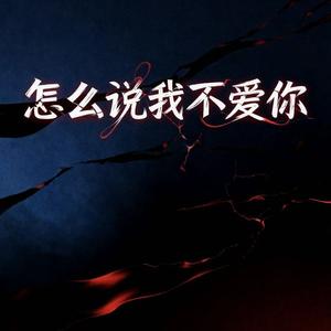 怎么说我不爱你（我要怎么说我不爱你）
