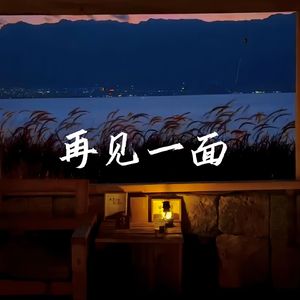 再见一面