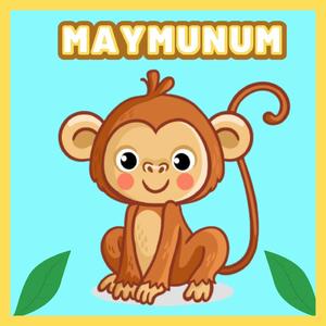Maymunum Maymunum Minik Maymunum
