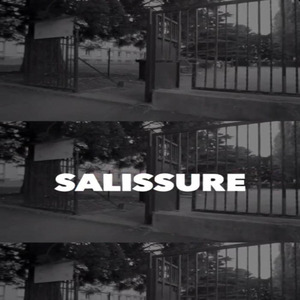 salissure