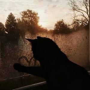 最后一次的温柔 (Remix)