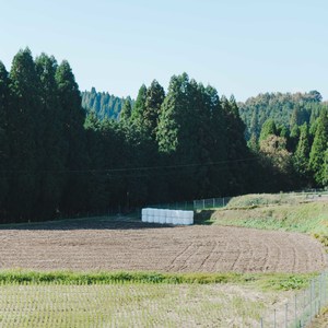 Prelude-朝の散歩道-