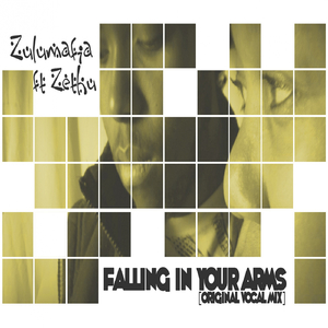 Falling In Your Arms (Zulu Down To Earth Mix)