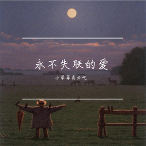 永不失联的爱