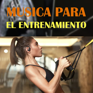 Para el Entrenamiento