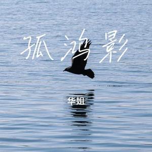 孤鸿影
