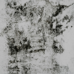 my body screams you (Demo)