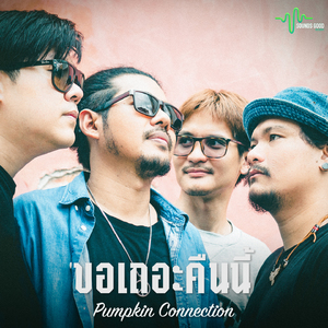 ขอเถอะคืนนี้