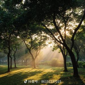 盛夏的果实