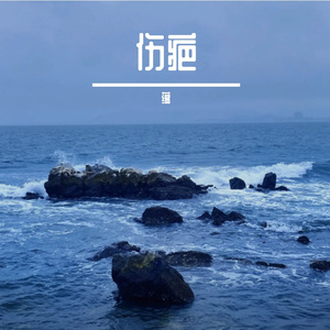 伤疤