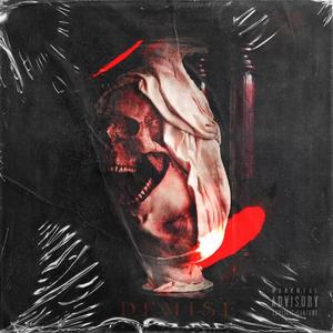 DEMISE